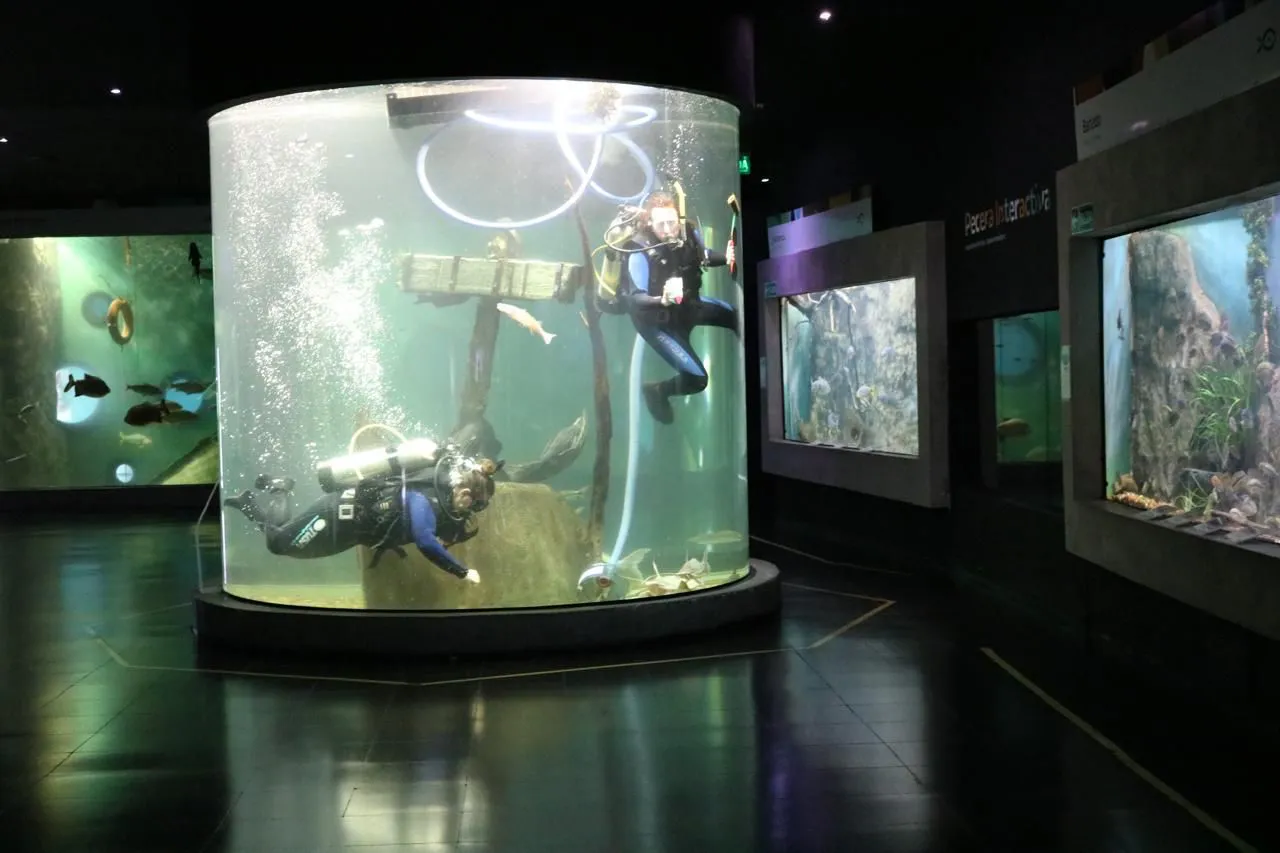 b0f82c9d-ce4c-4b50-bc91-df5f4e704015 (1)